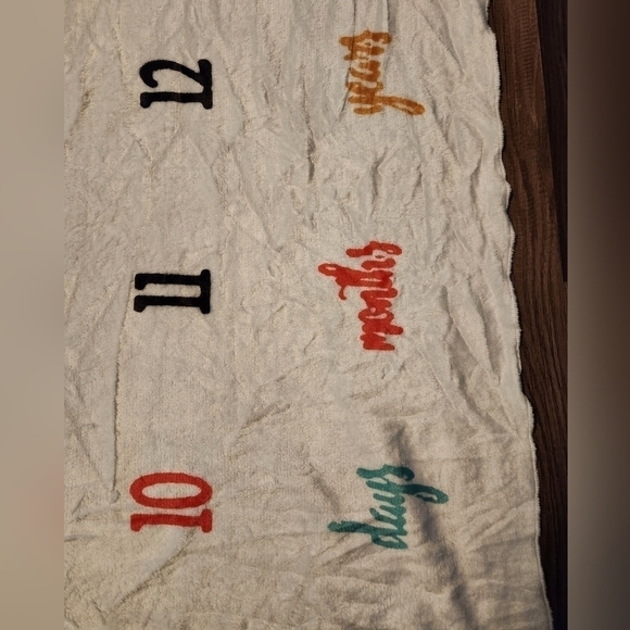 BABY Milestone Month Day Year Calendar Photo Blanket - Picture 2 of 4